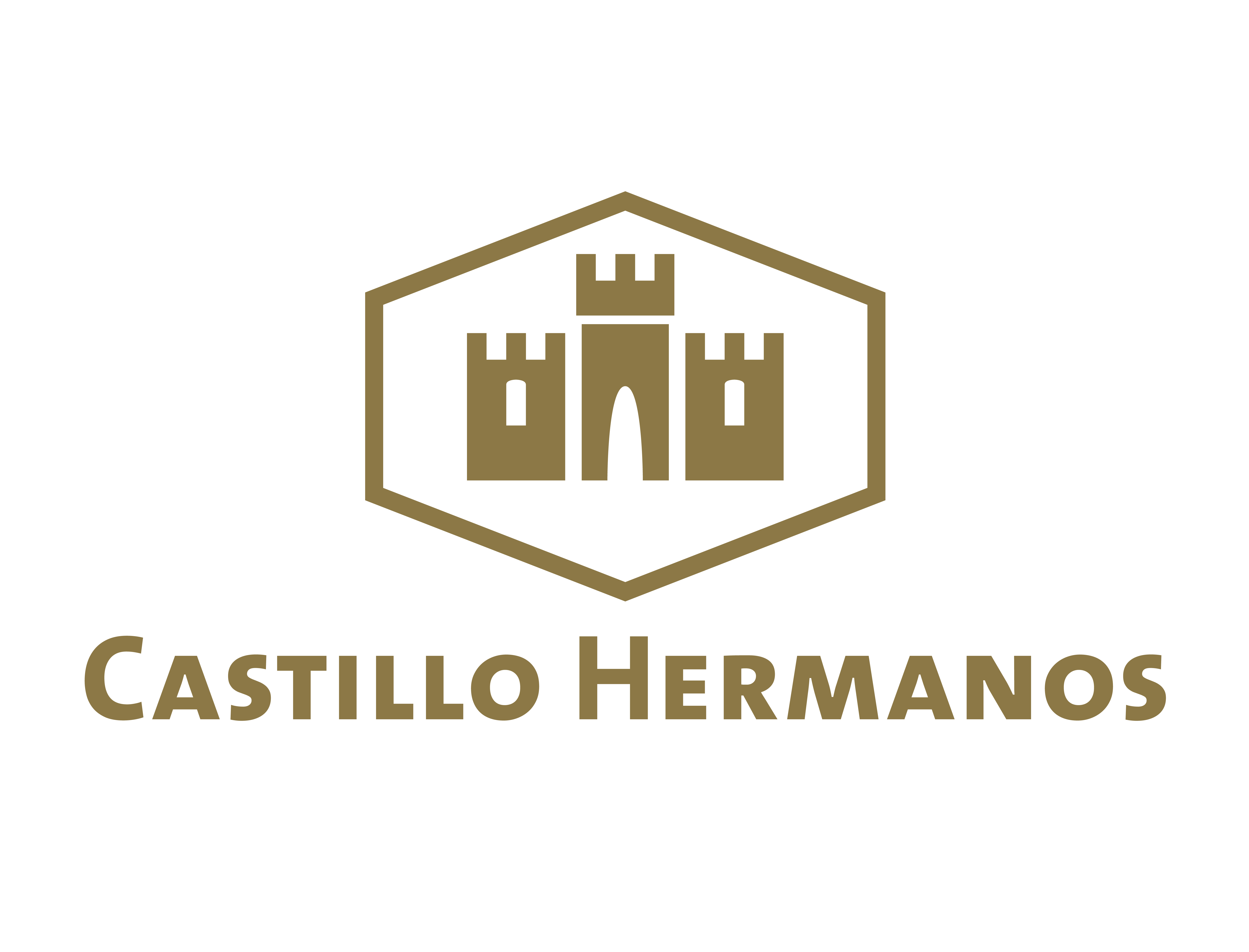 Castillo Hermanos Atlantic Council