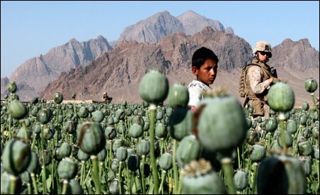 NATO Rejects Russian Call for Afghan Poppy Spraying