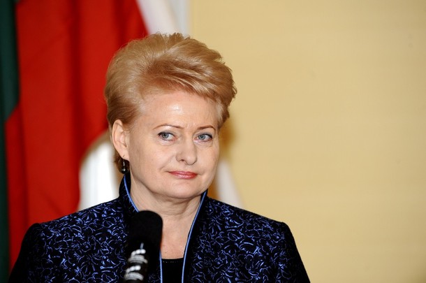 Lithuanian president criticizes Russia over new nuclear plants