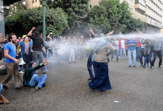 Egypt’s Protest Law: The Interim Government and the Fabrication of Problems
