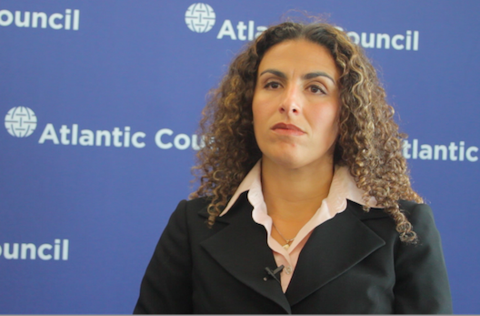 Sahar Aziz Speaks to EgyptSource about Egypt’s New Draft Constitution [Video]