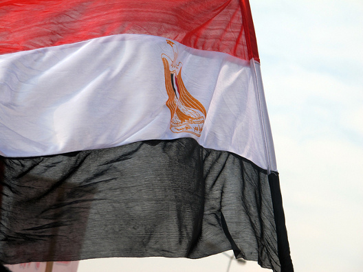 Egypt’s Constitutional Referendum [Liveblog January 15]