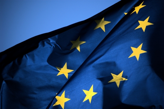 European Union Critical of Egypt’s Lack of Reform in 2013