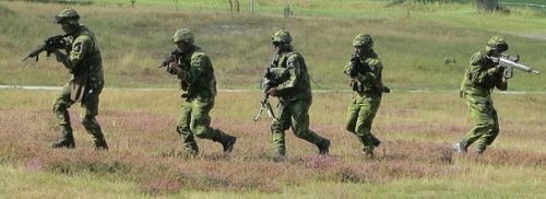 Swedish soldiers training, Aug. 25, 2013