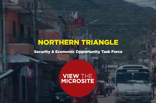 Northern Triangle Security and Economic Opportunity Task Force