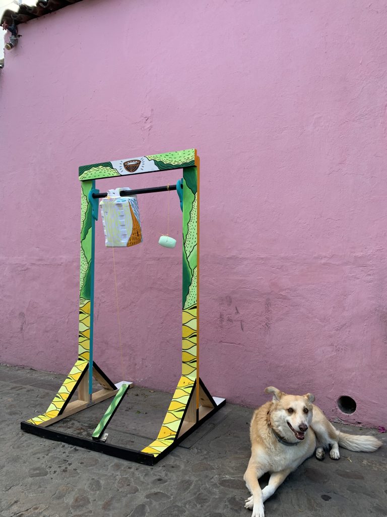 dog next to handwashing station