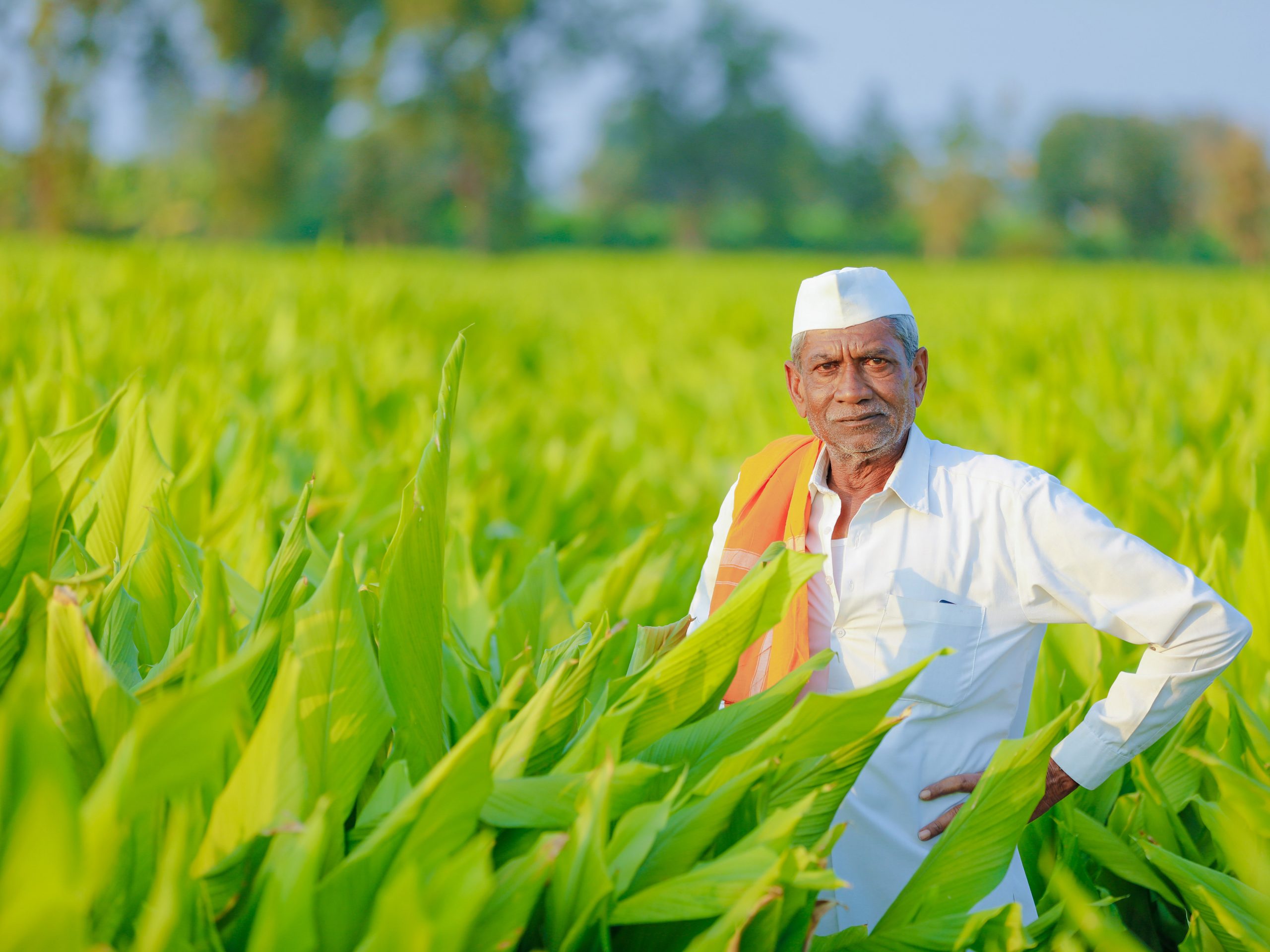 Transforming Indian Agriculture A Policy Framework To Guide US India 