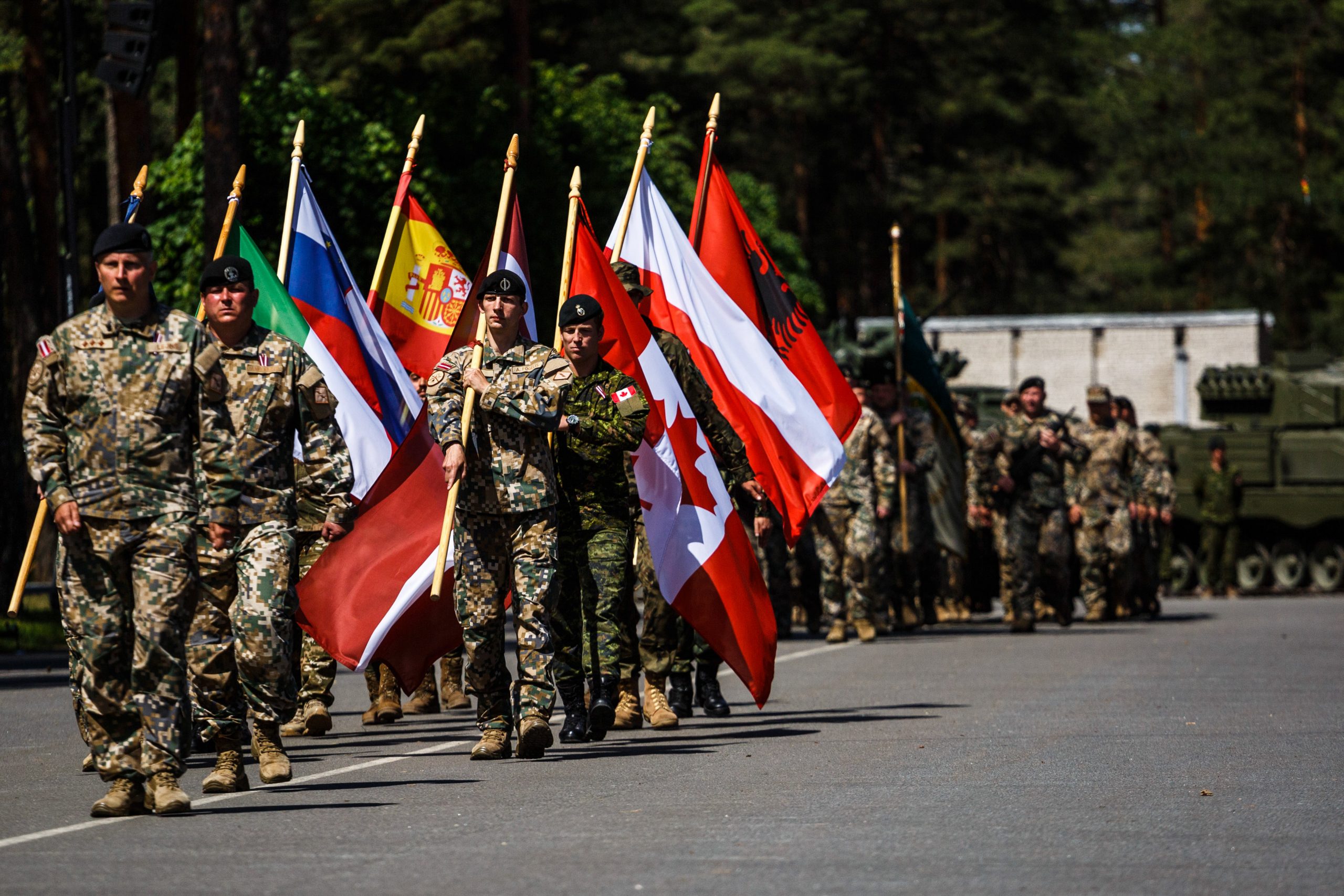 NATO Allies Contribute To A Variety Of Missions. Here's A Look At How ...