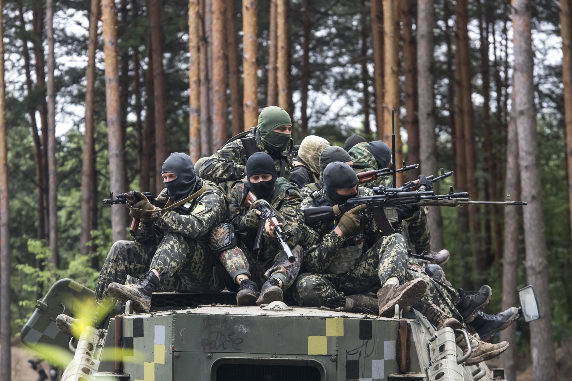 Scientists plan a comeback for Ukraine's war-ravaged forests, Science