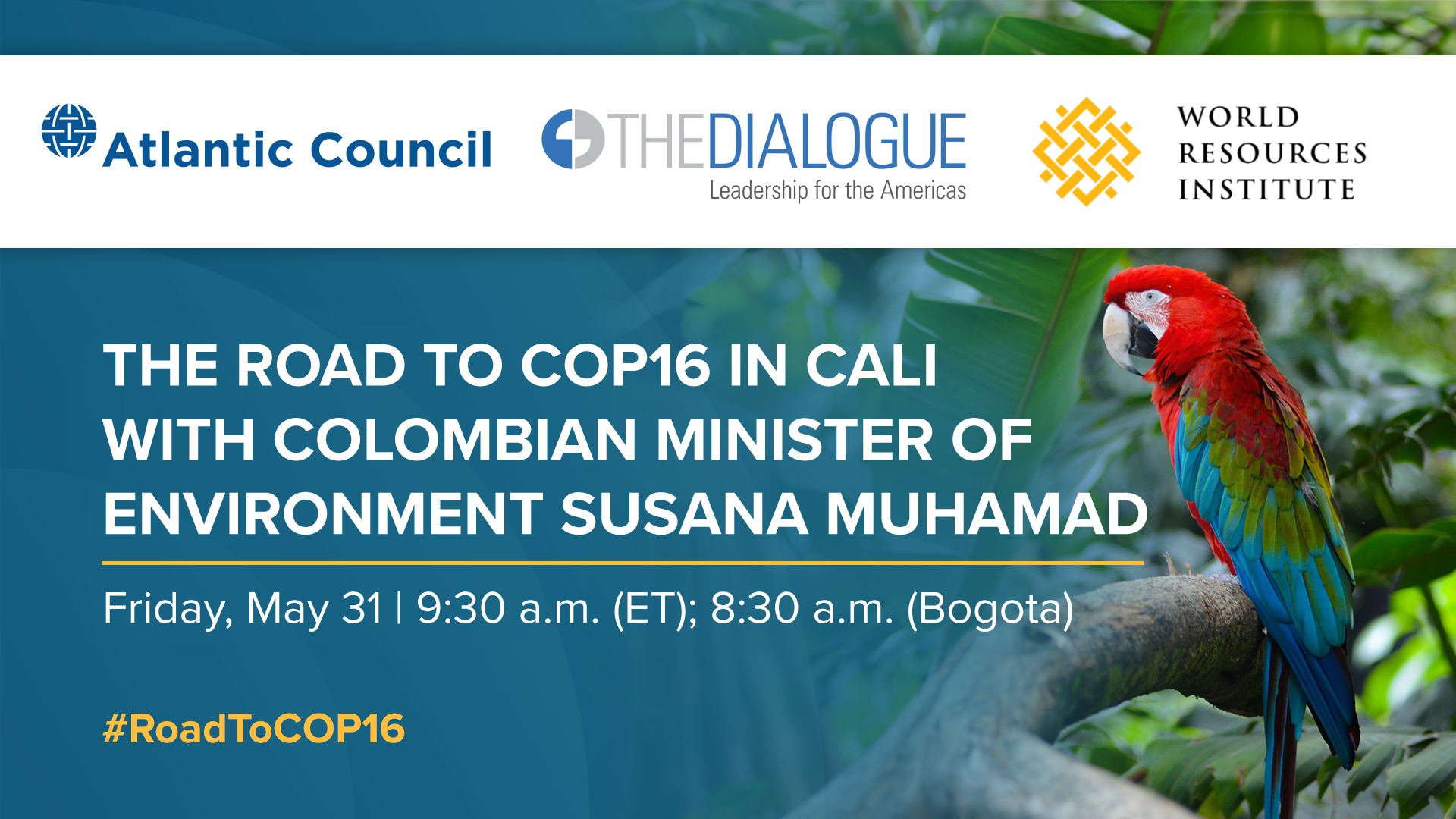 The Road To COP16 In Cali With Colombian Minister Of Environment Susana ...