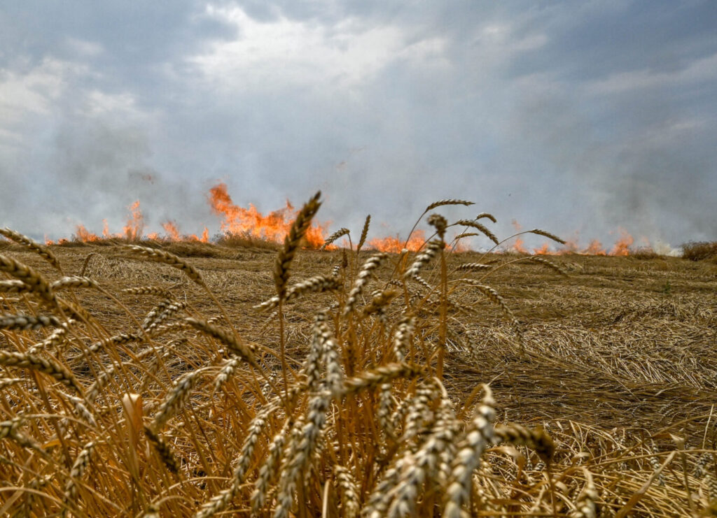 Bombing Europe’s breadbasket: Russia targets Ukrainian farmers